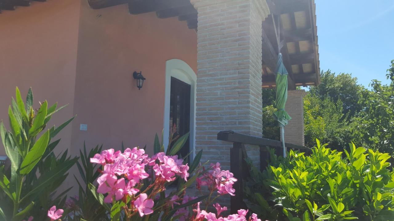 Casale Citerno Apartment Болсена Екстериор снимка