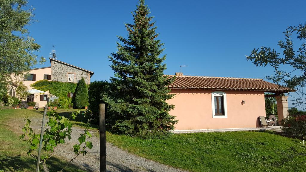 Casale Citerno Apartment Болсена Екстериор снимка